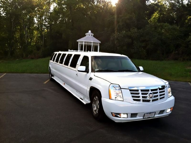 Great Falls 15 Passenger Limo